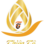 Công ty Thiên Tô: Chuyên dịch vụ, lĩnh vực xuất nhập khẩu